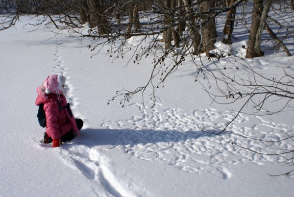 Прогулка первый снег