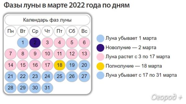Календарь садовода и огородника на 2022