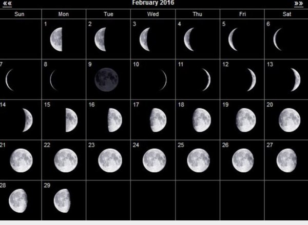 Фаза Луны 4.04.2004