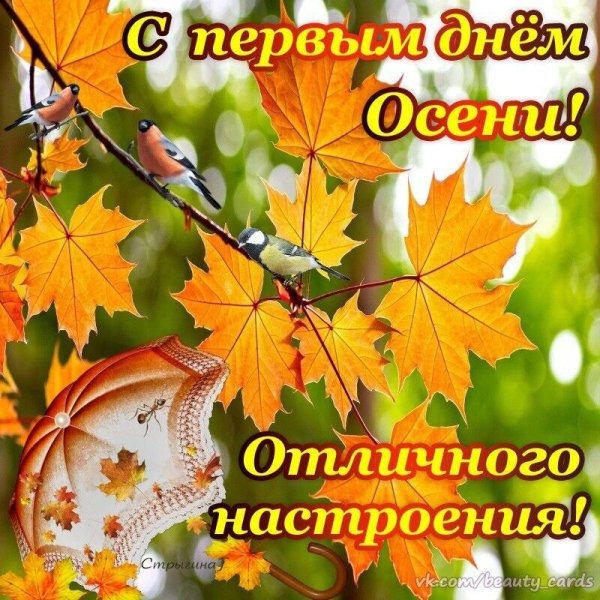 Поздравление с первым днем осени