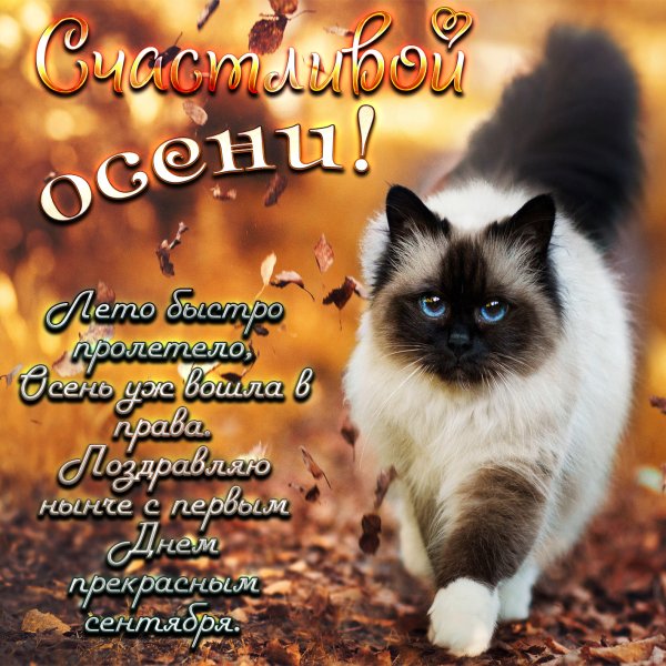 Поздравление с первым днем осени