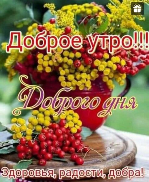 Доброе утро здоровья