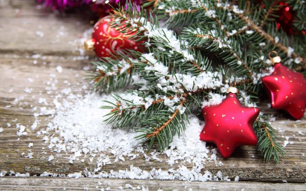 Елка в снегу