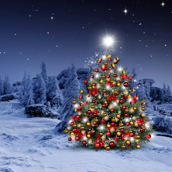 Новый год елка