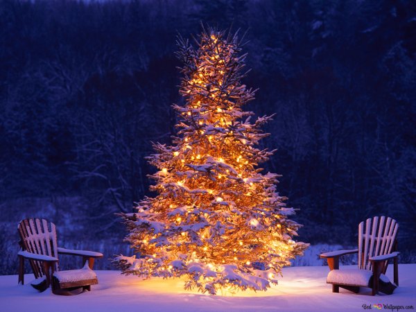 Новогодняя зима