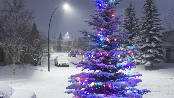 Новый год елка на улице