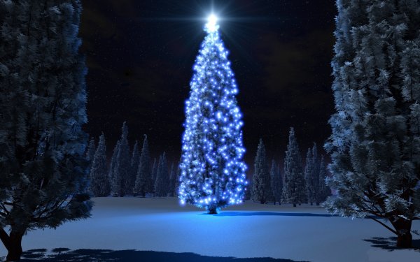 Нарядная елка в лесу