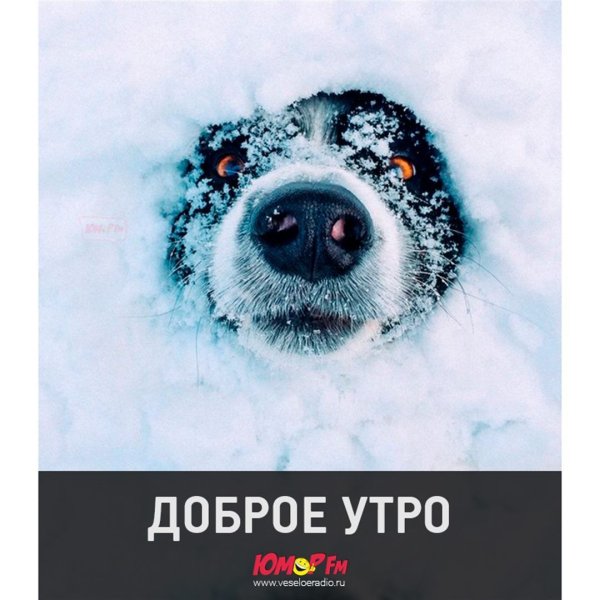 Весна и снег юмор