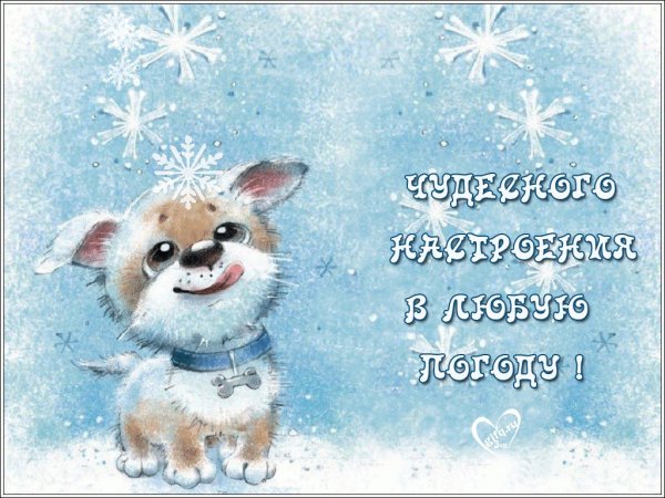 Отличного снежного настроения