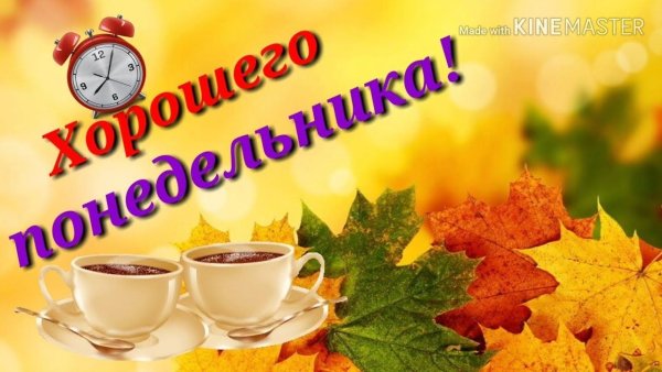 С добрым осенним утром понедельника