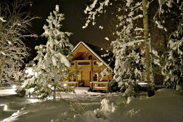 Новогодний домик в лесу