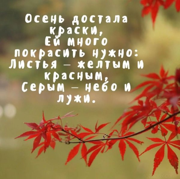 Осенние цитаты