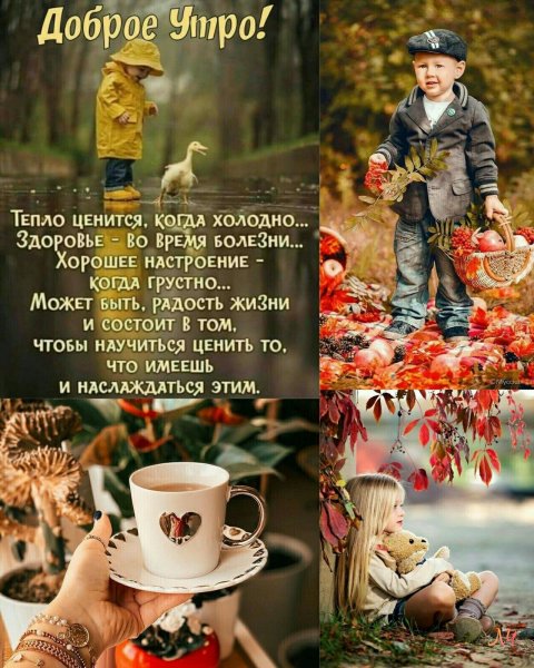 Доброе осеннее утро с мудрыми пожеланиями