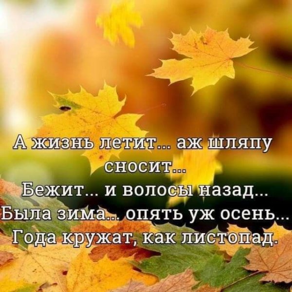 Цитаты про осенние листья