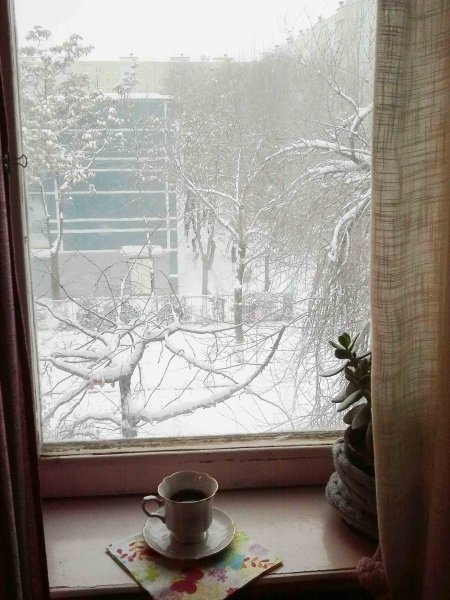 Зимний вид за окном