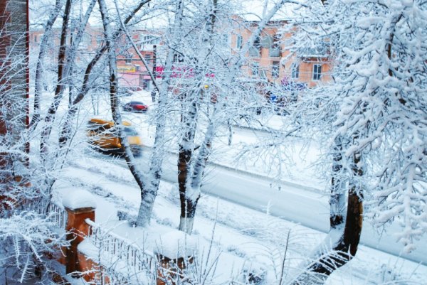 Вид из окна зима