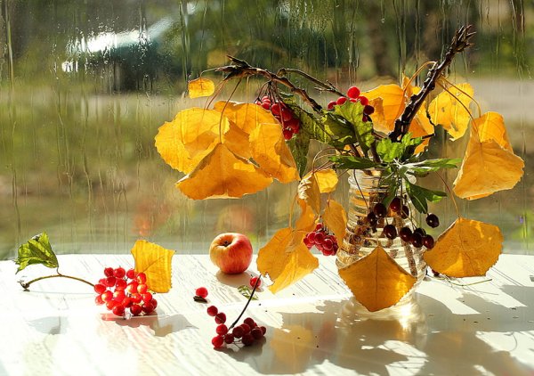 Дождливое утро осени