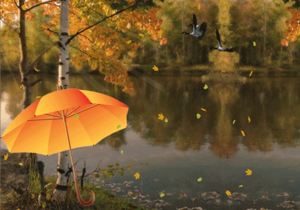 Осень анимация