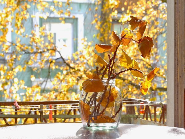 Осеннее окно