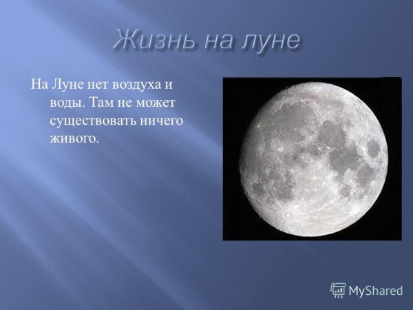 Жить на Луне