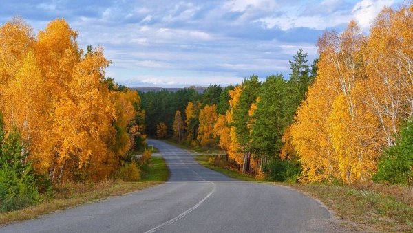 Трасса в осеннем лесу