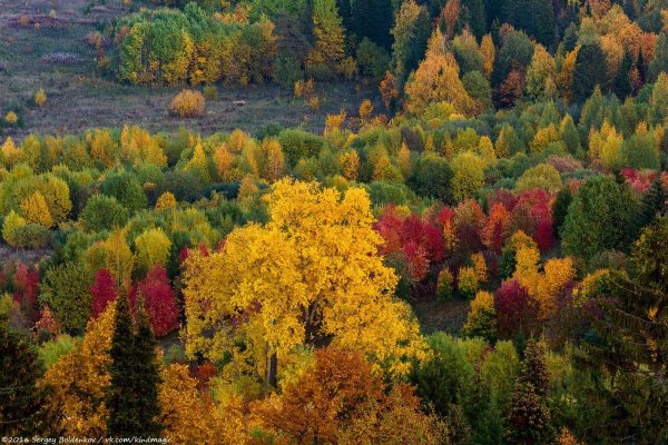 Пермский край осенью