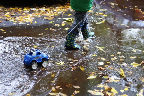 Лужи после дождя