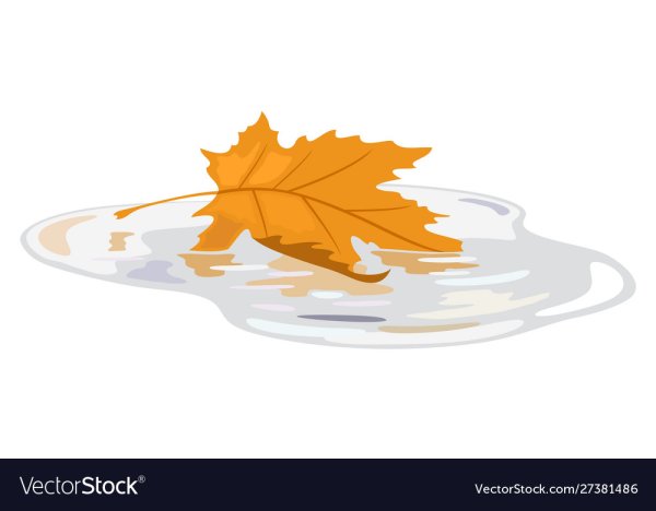 Осенние лужи на прозрачном фоне