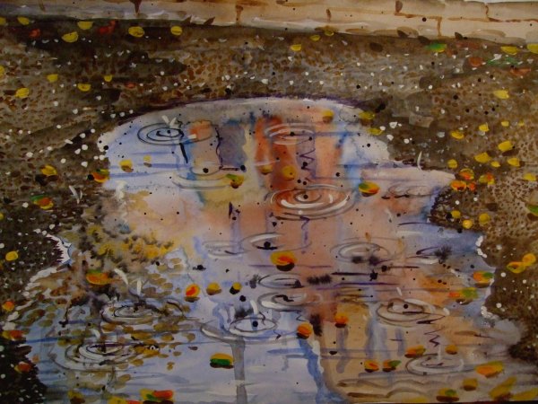 Живописные лужи