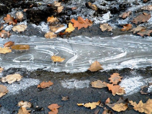 Лед на лужах осенью