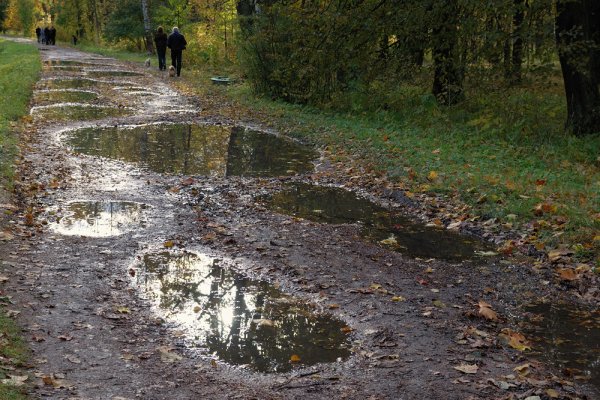 Лужи осенью