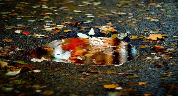 Лужа на асфальте