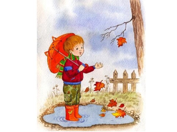 Осень дождь