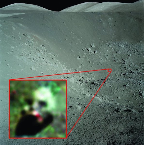 Жизнь на Луне