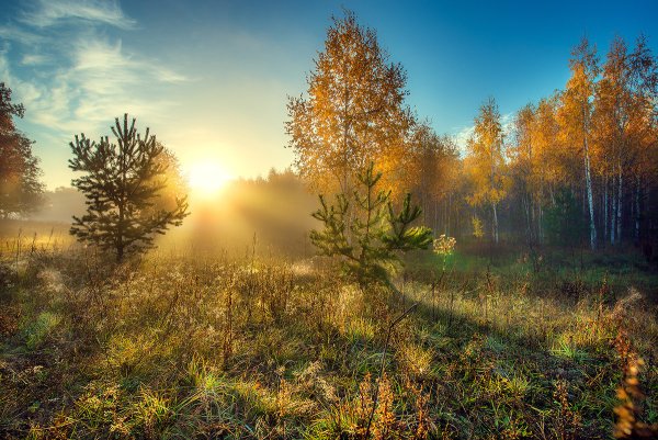 Осень рассвет