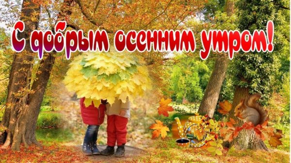 Открытки с добрым утром красивые осенние ноябрьские