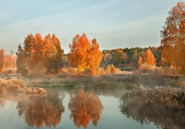 Утренний осенний пейзаж