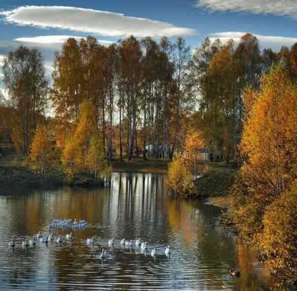 Доброе утро природа осенью