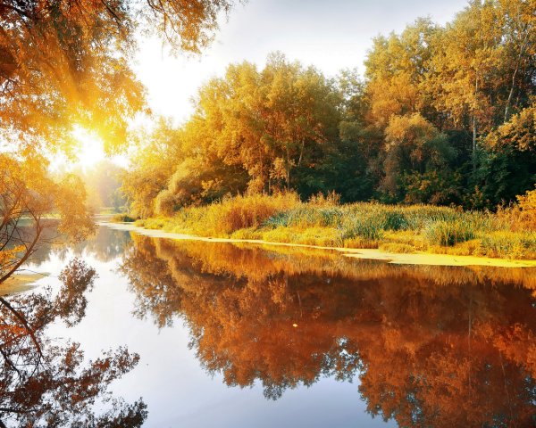 Осень река