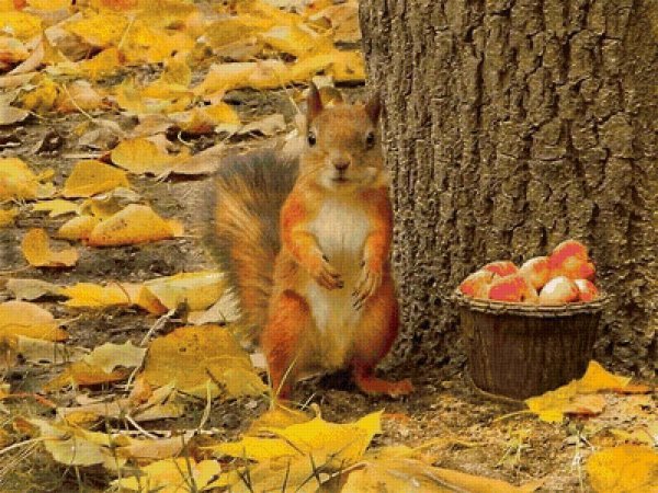 Осенние животные добрые