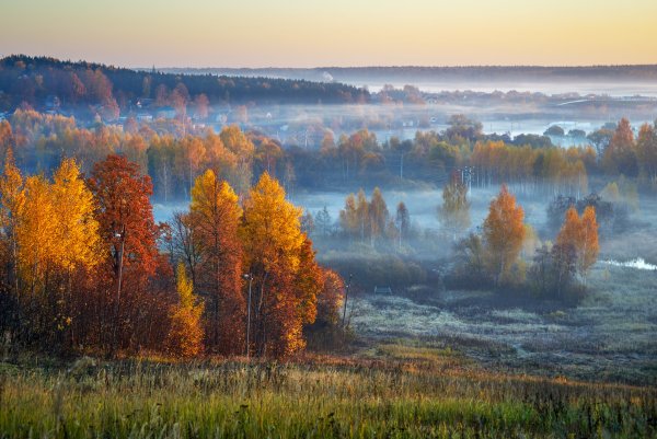 Осеннее утро