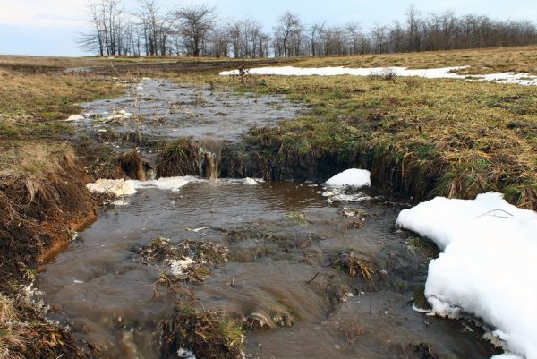 Тает снег в полях