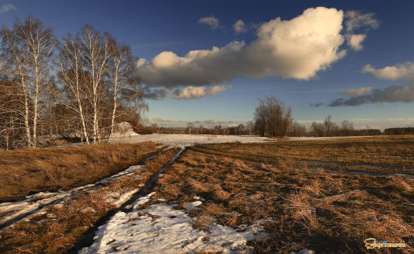 Ранняя Весна в поле