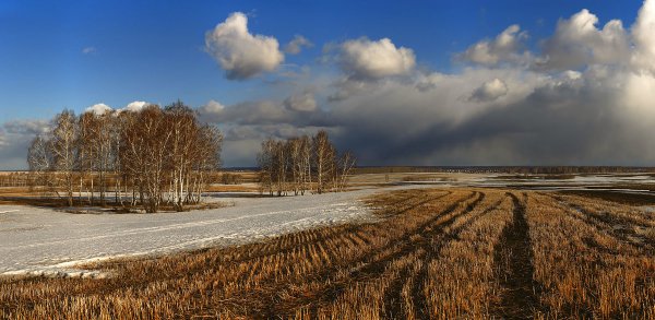 Поле ранней весной