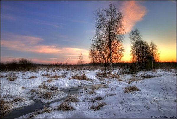Ранняя Весна русское поле