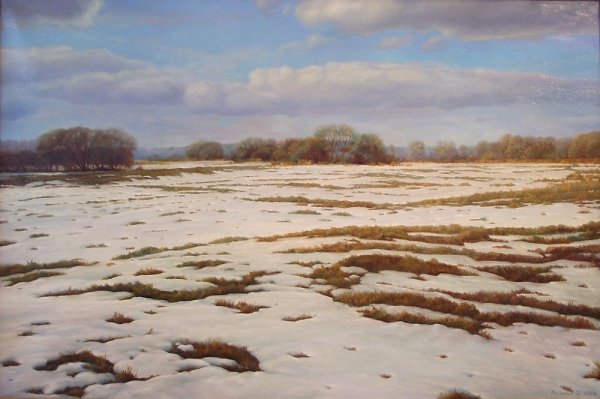 Проталины на полях