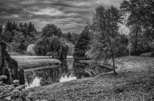 Черно белый пейзаж