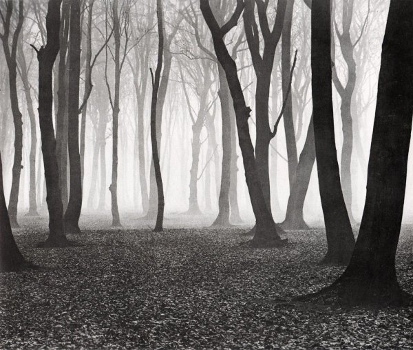 Фотограф Альберт Ренгер-патч