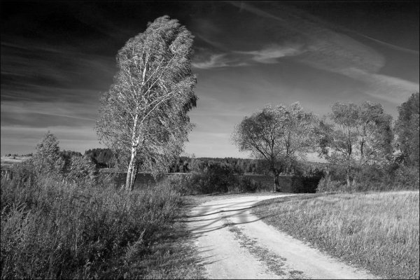 Российский пейзаж