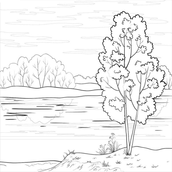 Лес и речка раскраска